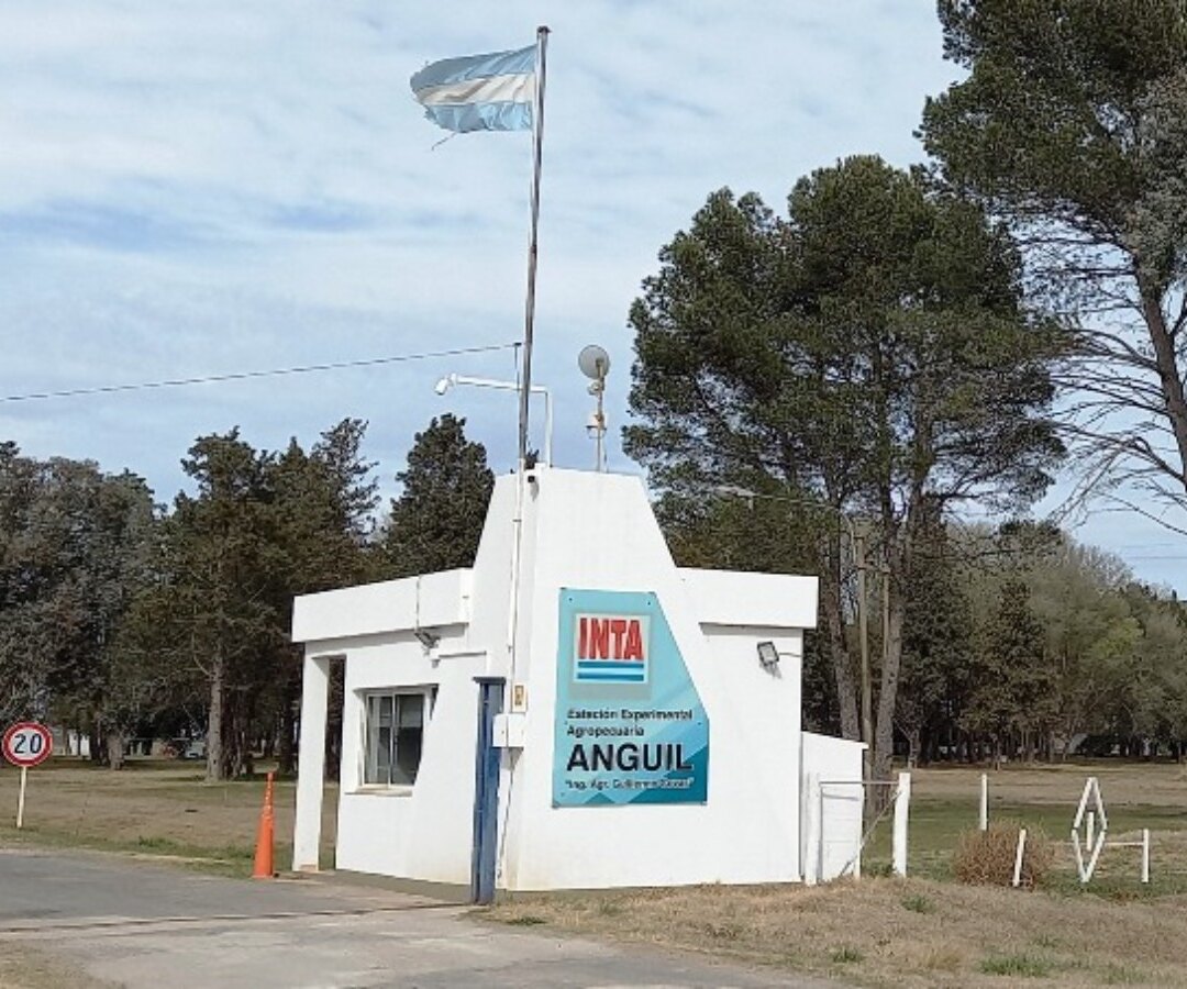 Edificio del INTA, uno de los organismos alcanzados por el proyecto de Presupuesto 2027